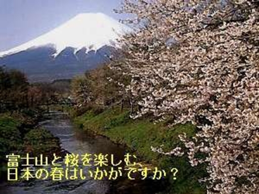【春得】桜と富士山を楽しむ日本の春・そして新緑の季節へ、♪ のんびり大人旅● 2食付